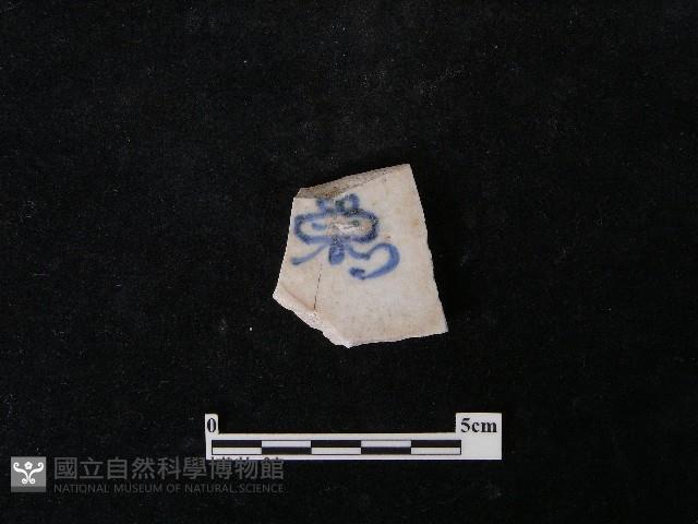 瓷片藏品圖，第5張