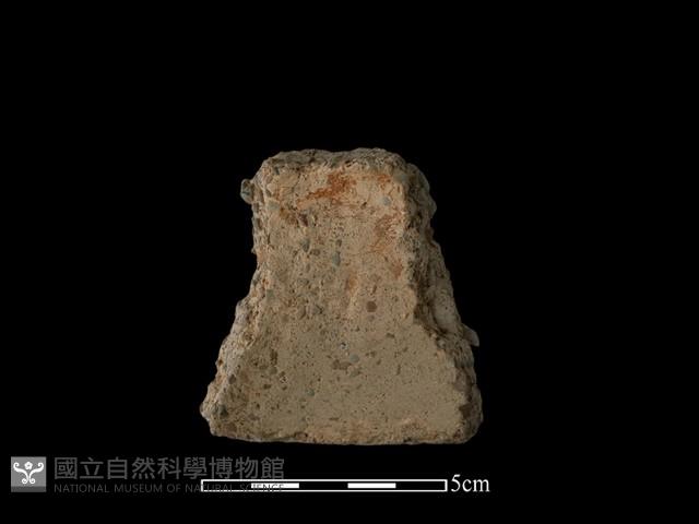 陶片藏品圖，第1張