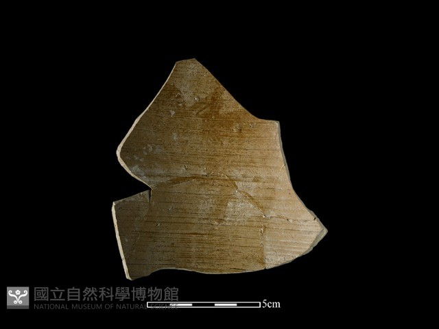 硬陶片藏品圖，第1張