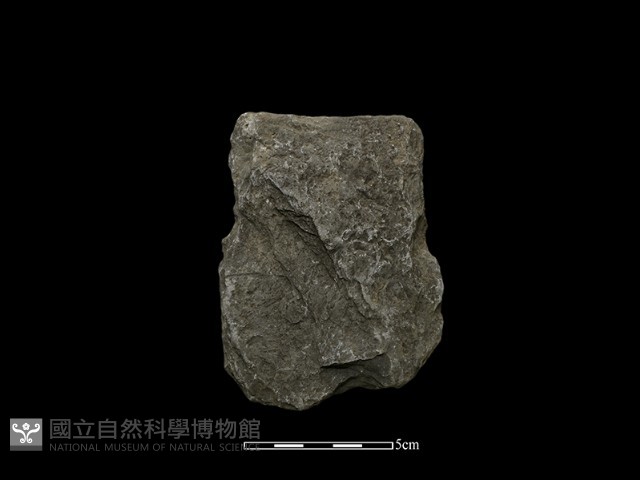 斧鋤形器藏品圖，第2張