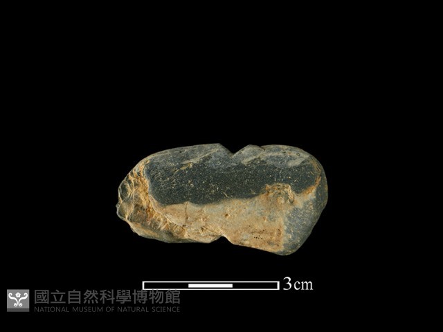 網墜藏品圖，第2張