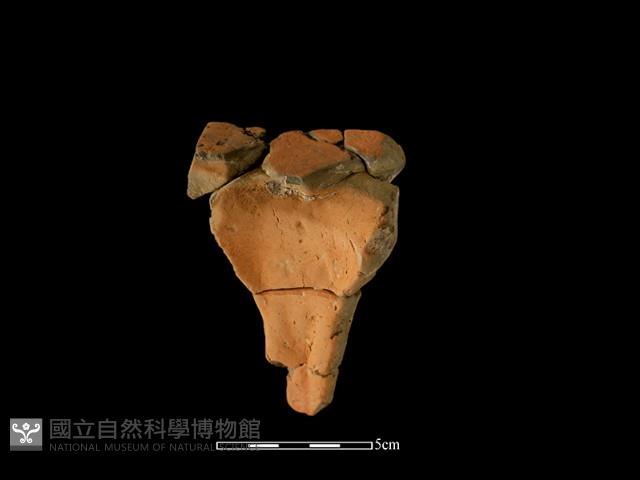 豆形器藏品圖，第2張