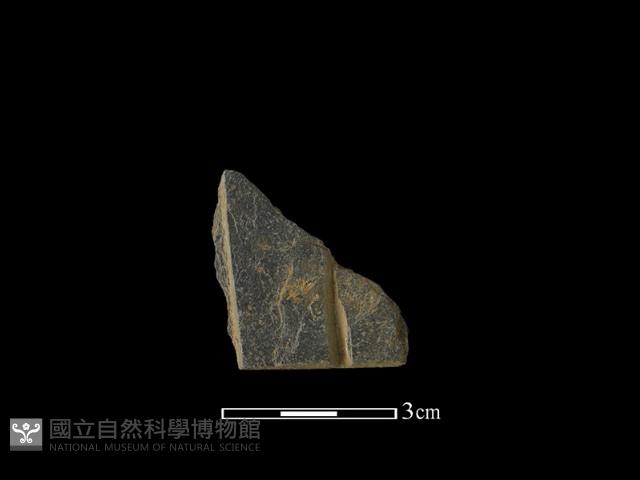 帶加工痕石材藏品圖，第1張