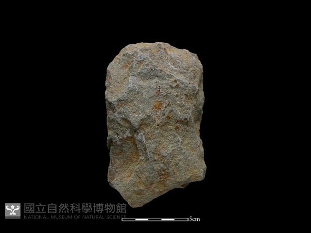 斧鋤形器藏品圖，第1張