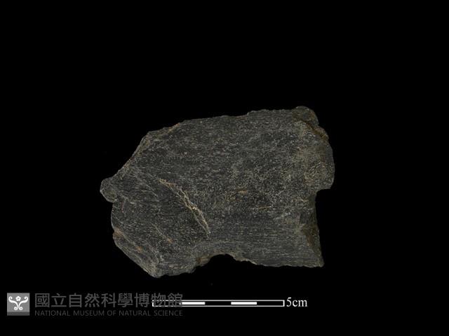 磨製有刃石器藏品圖，第2張
