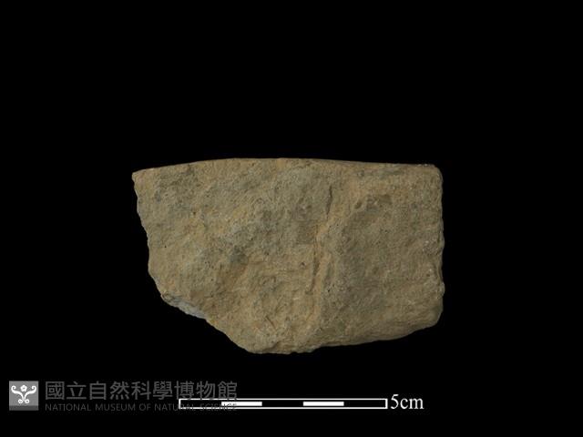 石片器藏品圖，第1張