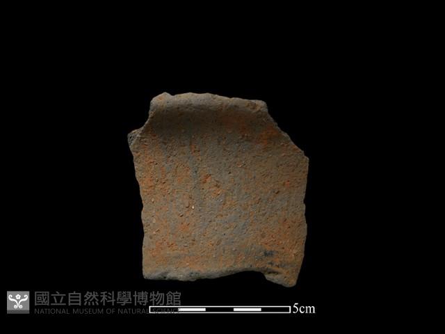 陶片藏品圖，第1張