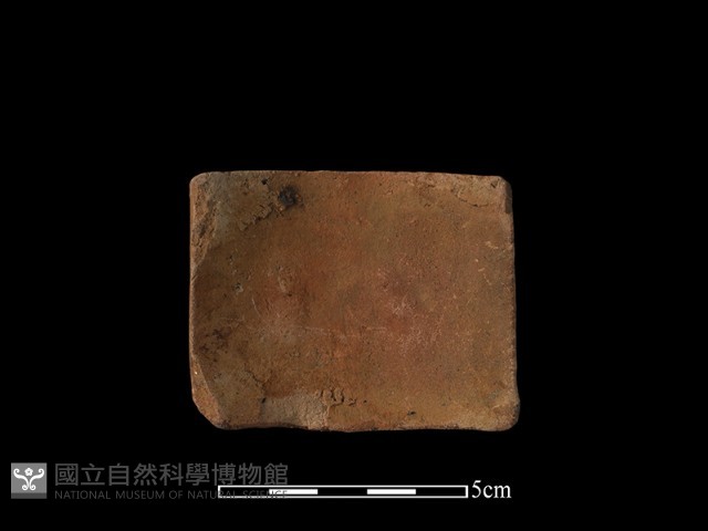 裝飾磚藏品圖，第2張