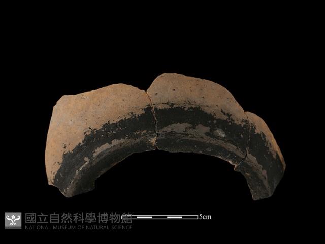 硬陶片藏品圖，第3張