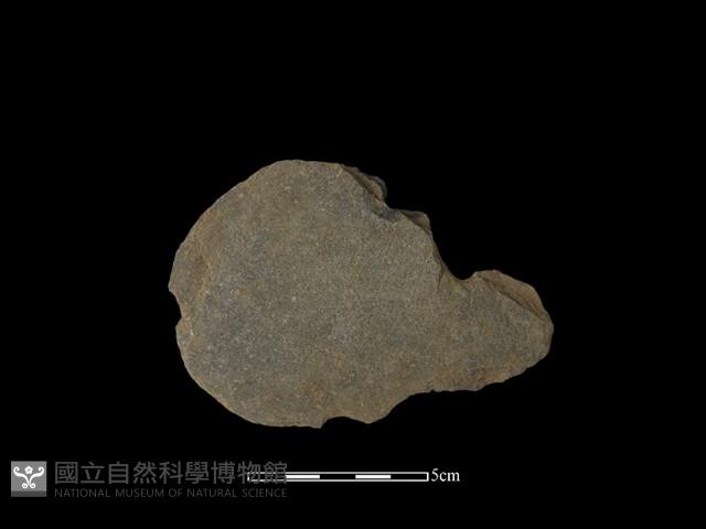 石鏟藏品圖，第2張