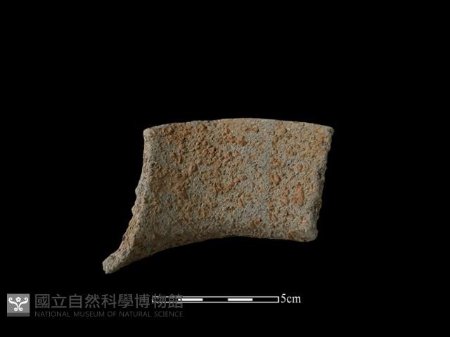 陶片藏品圖，第1張