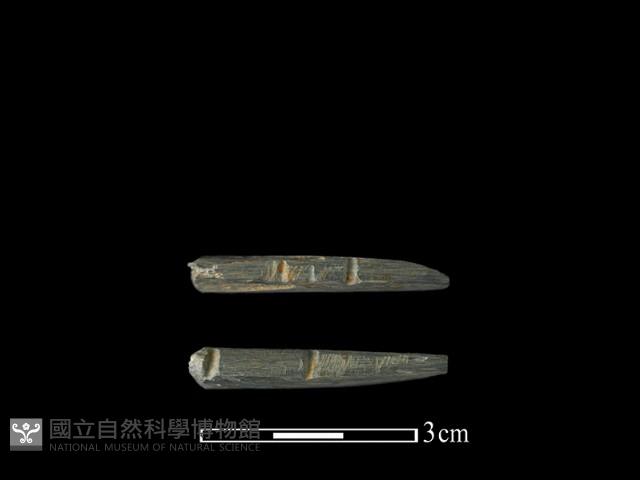 帶加工痕石材藏品圖，第2張