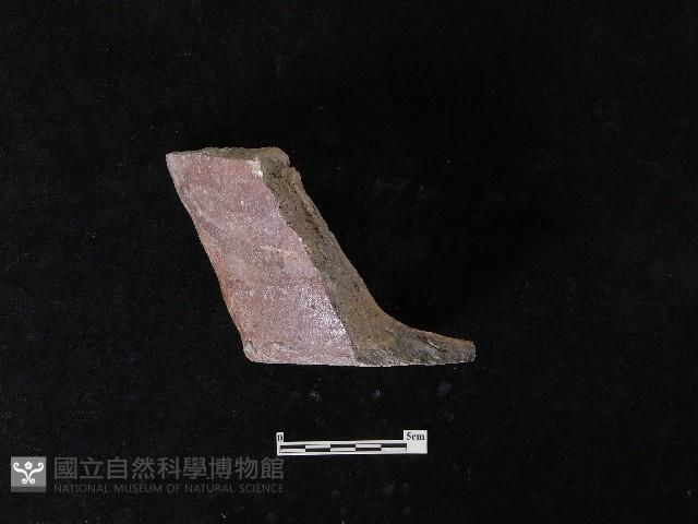 陶片藏品圖，第5張