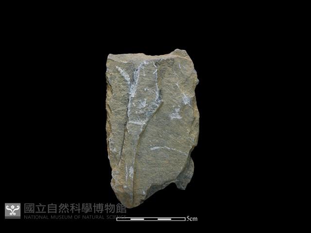 斧鋤形器藏品圖，第1張