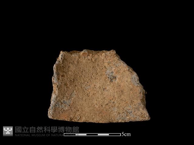 陶片藏品圖，第1張