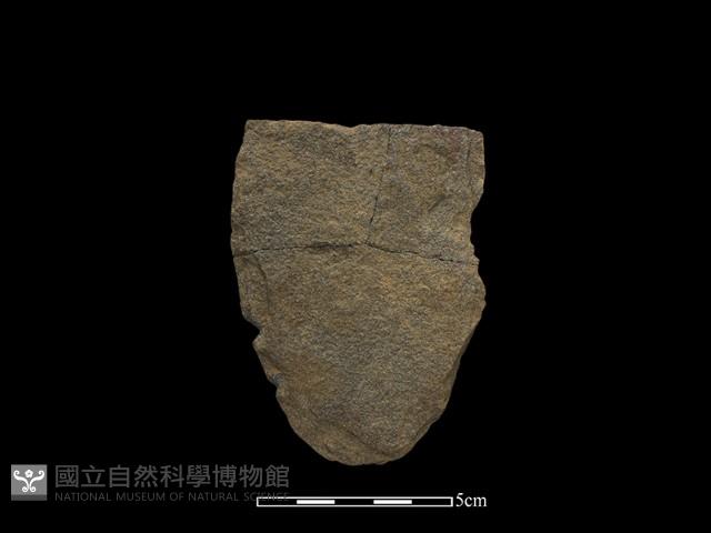 斧鋤形器藏品圖，第2張