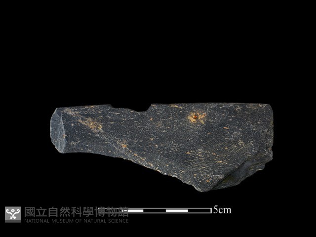戈形器藏品圖，第1張