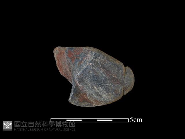 網墜藏品圖，第2張