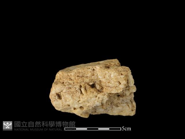 石材藏品圖，第2張