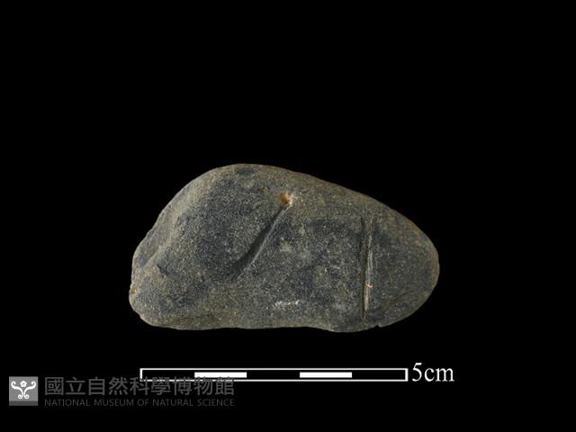 網墜藏品圖，第1張