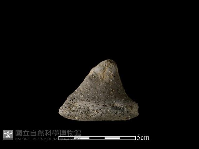 陶蓋鈕藏品圖，第1張