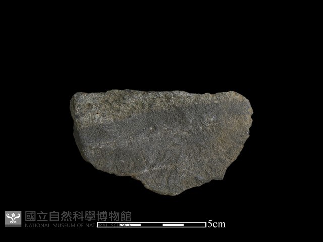 石片器藏品圖，第2張