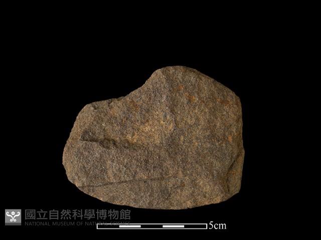 石片器藏品圖，第1張