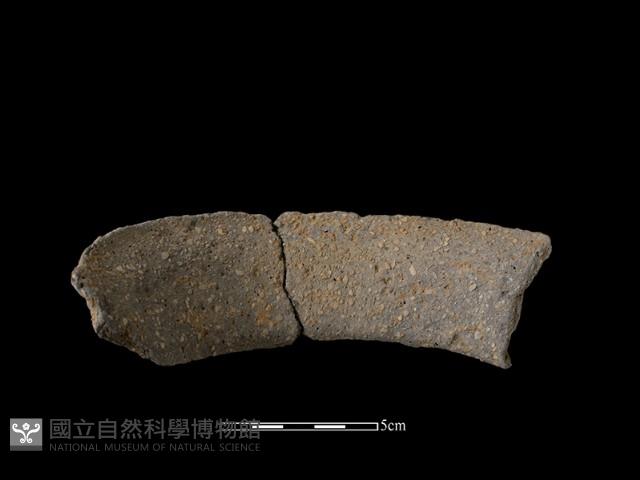 陶片藏品圖，第2張