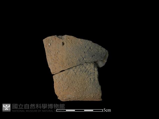 陶片藏品圖，第2張
