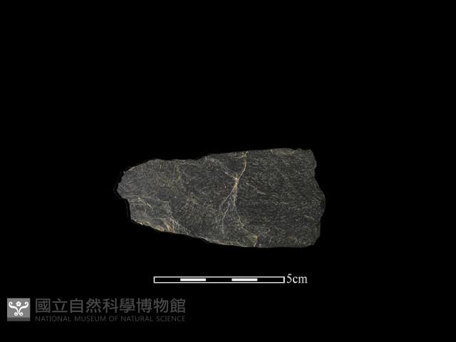 戈形器藏品圖，第1張
