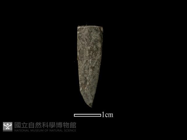 錛鑿形器藏品圖，第1張