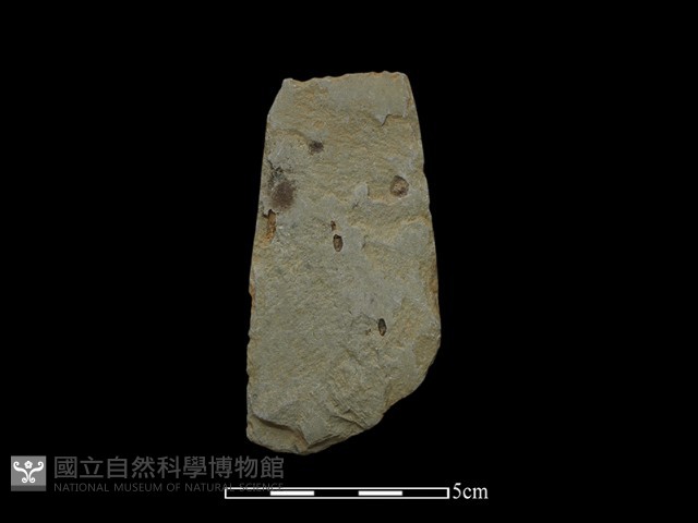 磨製斧鋤形器藏品圖，第2張