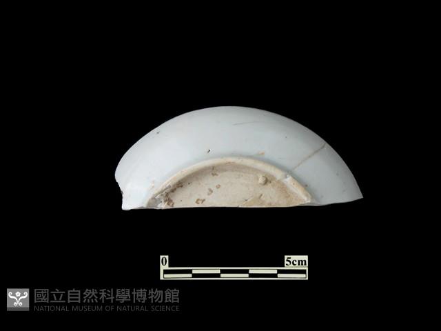 帶紋飾瓷片藏品圖，第1張