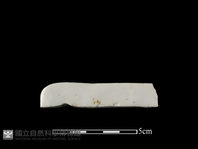 礙子藏品圖，第1張