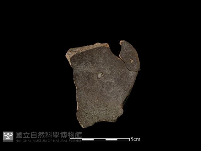 硬陶片藏品圖，第2張