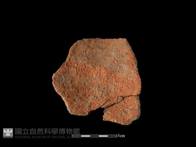 陶片藏品圖，第2張