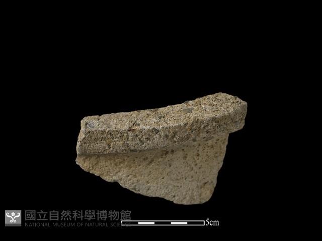 陶盆藏品圖，第1張