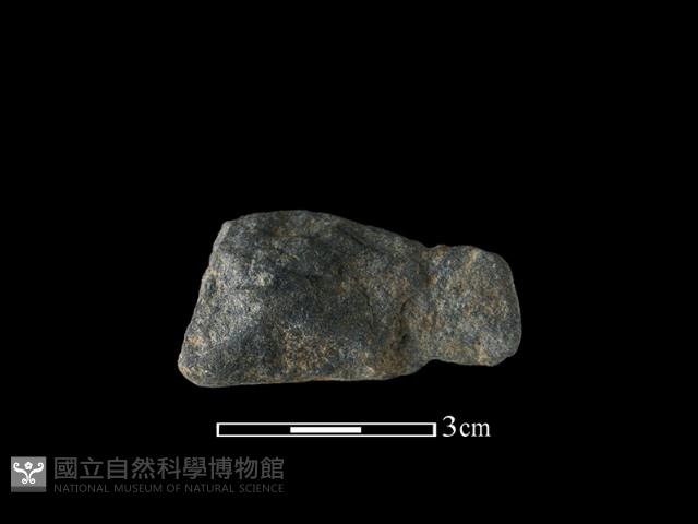 網墜藏品圖，第2張