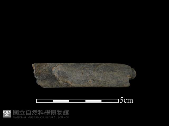 網墜藏品圖，第1張