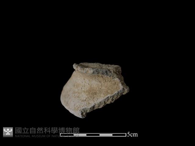 陶片藏品圖，第1張