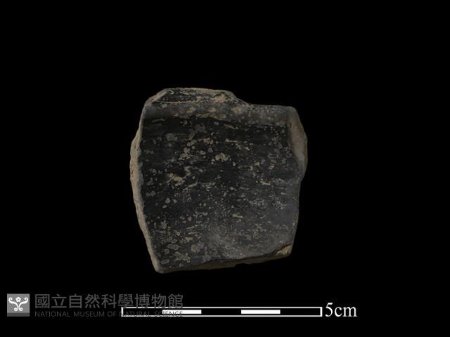 陶片藏品圖，第2張
