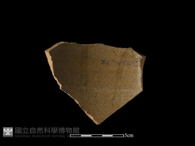 陶片藏品圖，第2張