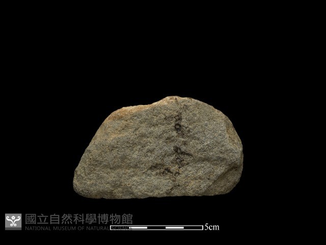 斧鋤形器藏品圖，第2張