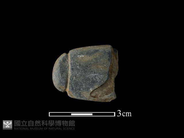 網墜藏品圖，第1張