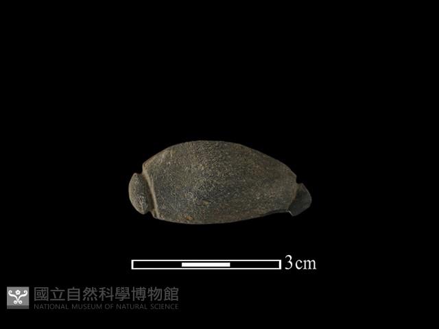 網墜藏品圖，第2張