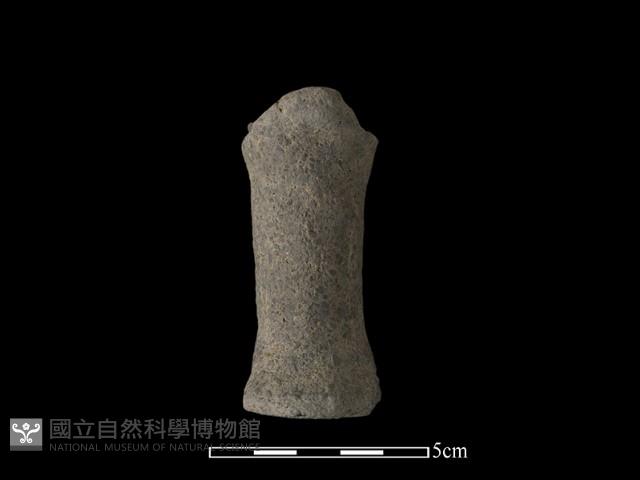 獸足藏品圖，第2張