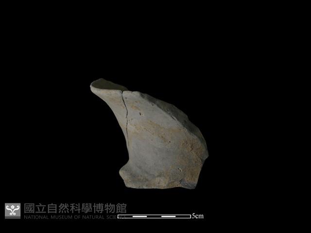 陶罐藏品圖，第2張