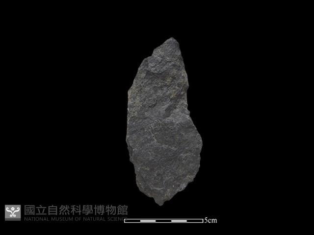 Accession Number:SCT-2014-081 Collection Image, Figure 1, Total 2 Figures