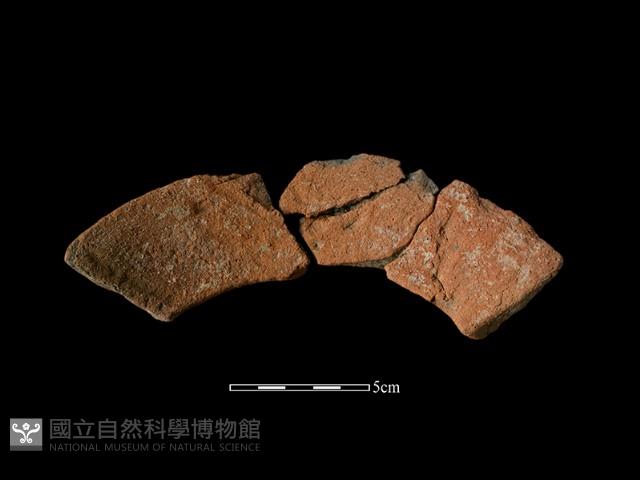 陶罐藏品圖，第1張