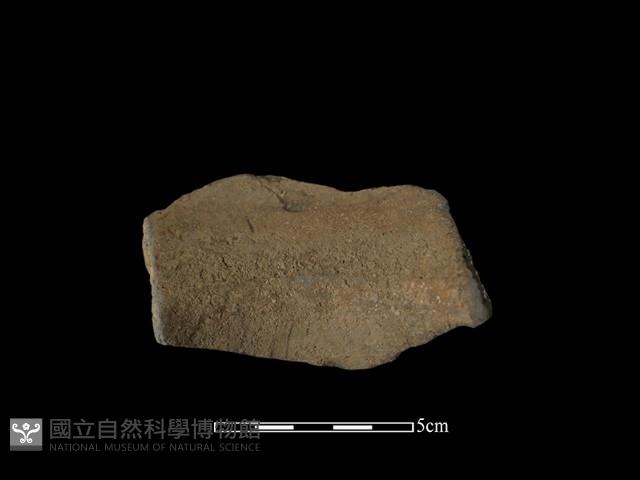 陶片藏品圖，第2張